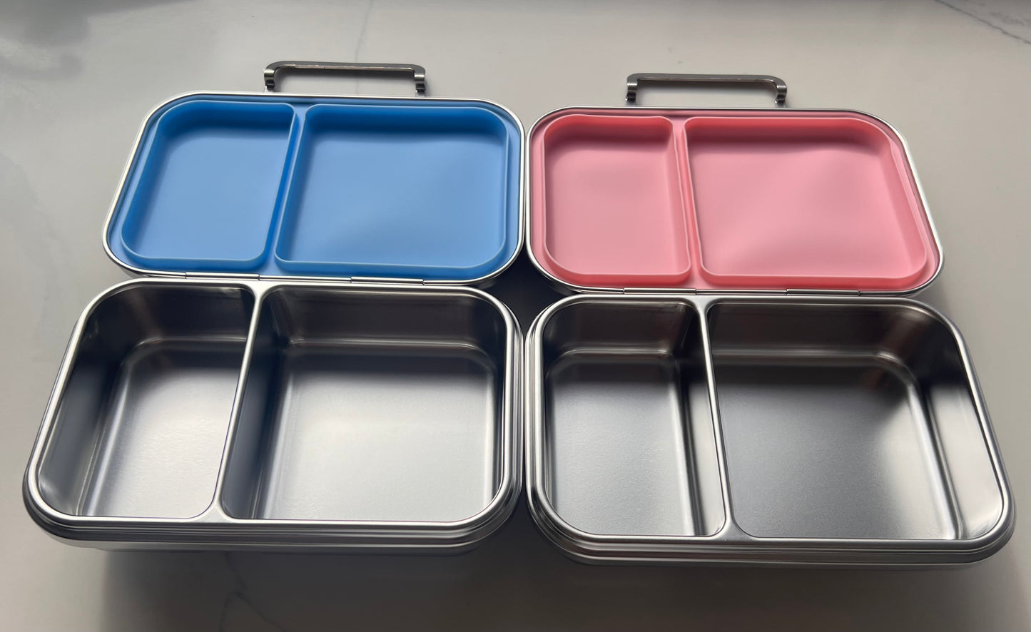 Stainless Steel 2 Compartment Bento Box