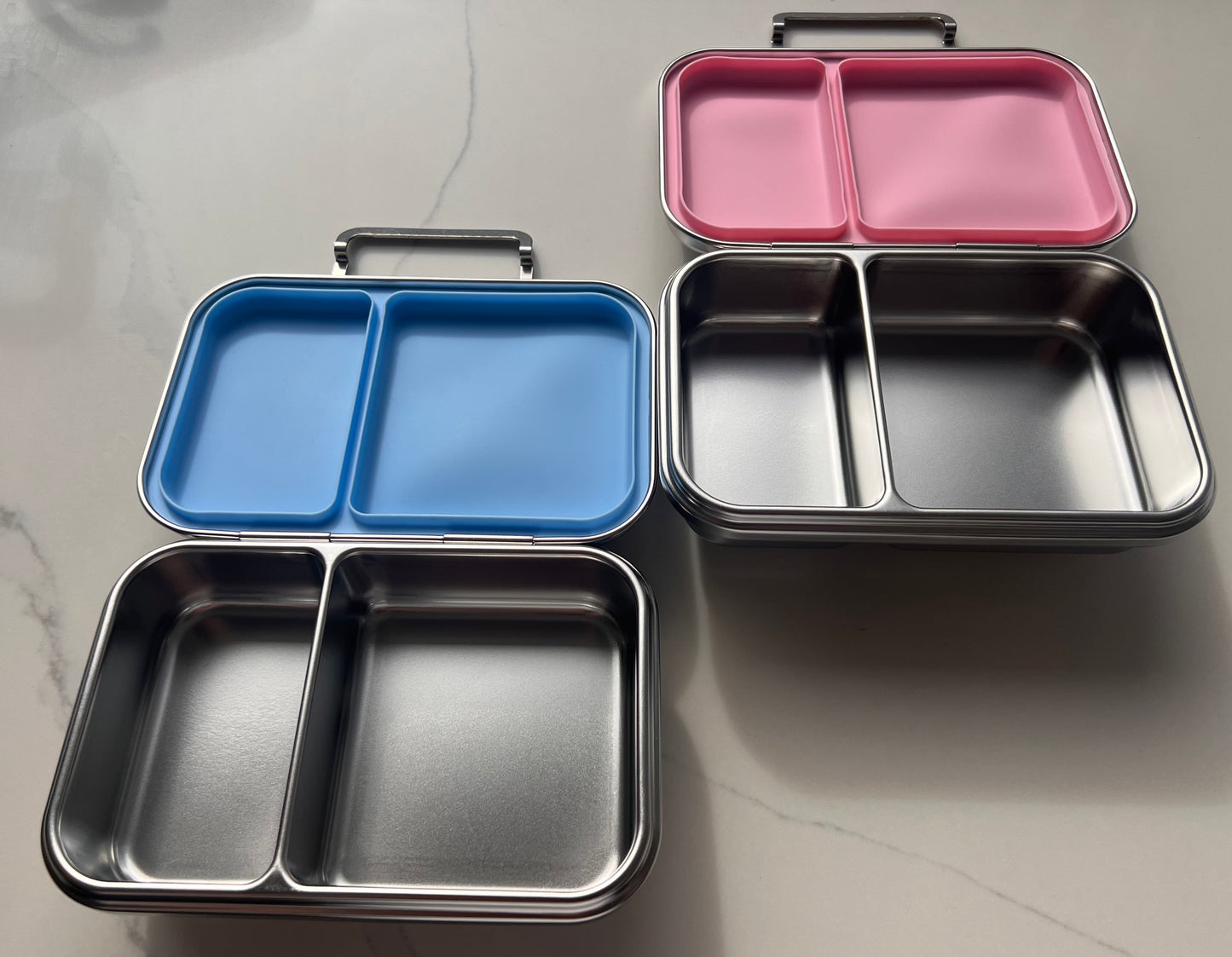 Stainless Steel 2 Compartment Bento Box