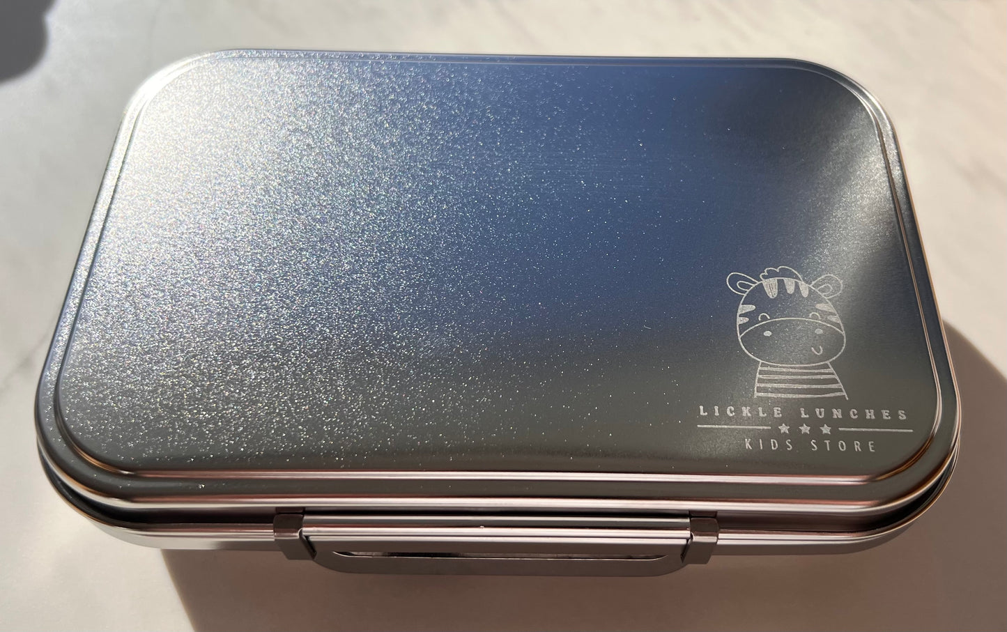 Stainless Steel 2 Compartment Bento Box