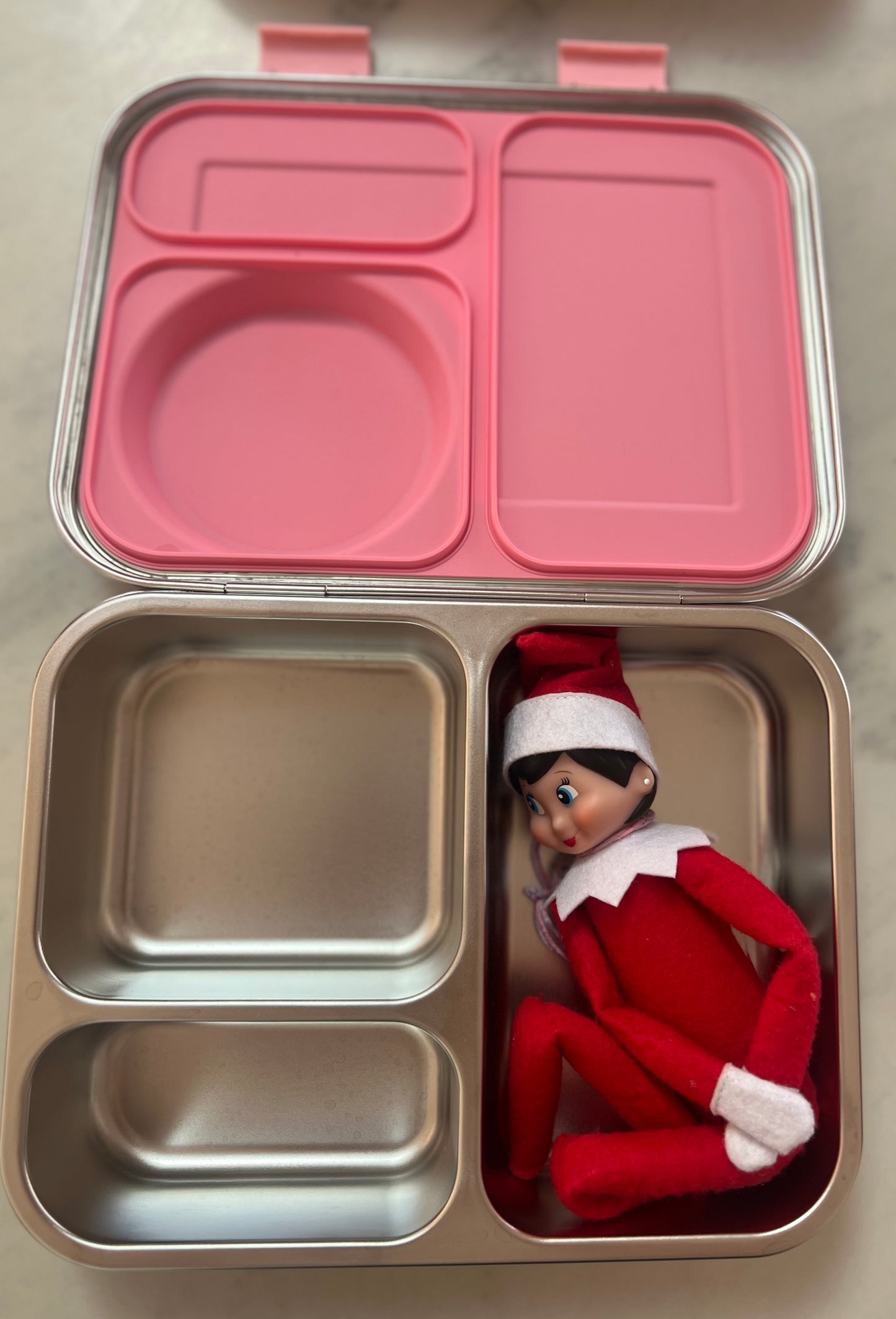 Stainless Steel Lunchbox