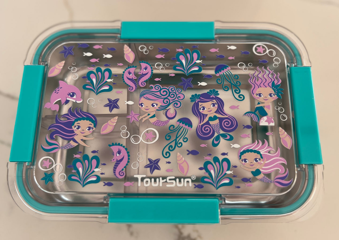 650ml Stainless Steel Lunchbox